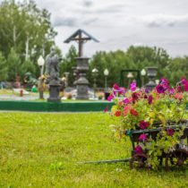 цветы парк памяти
